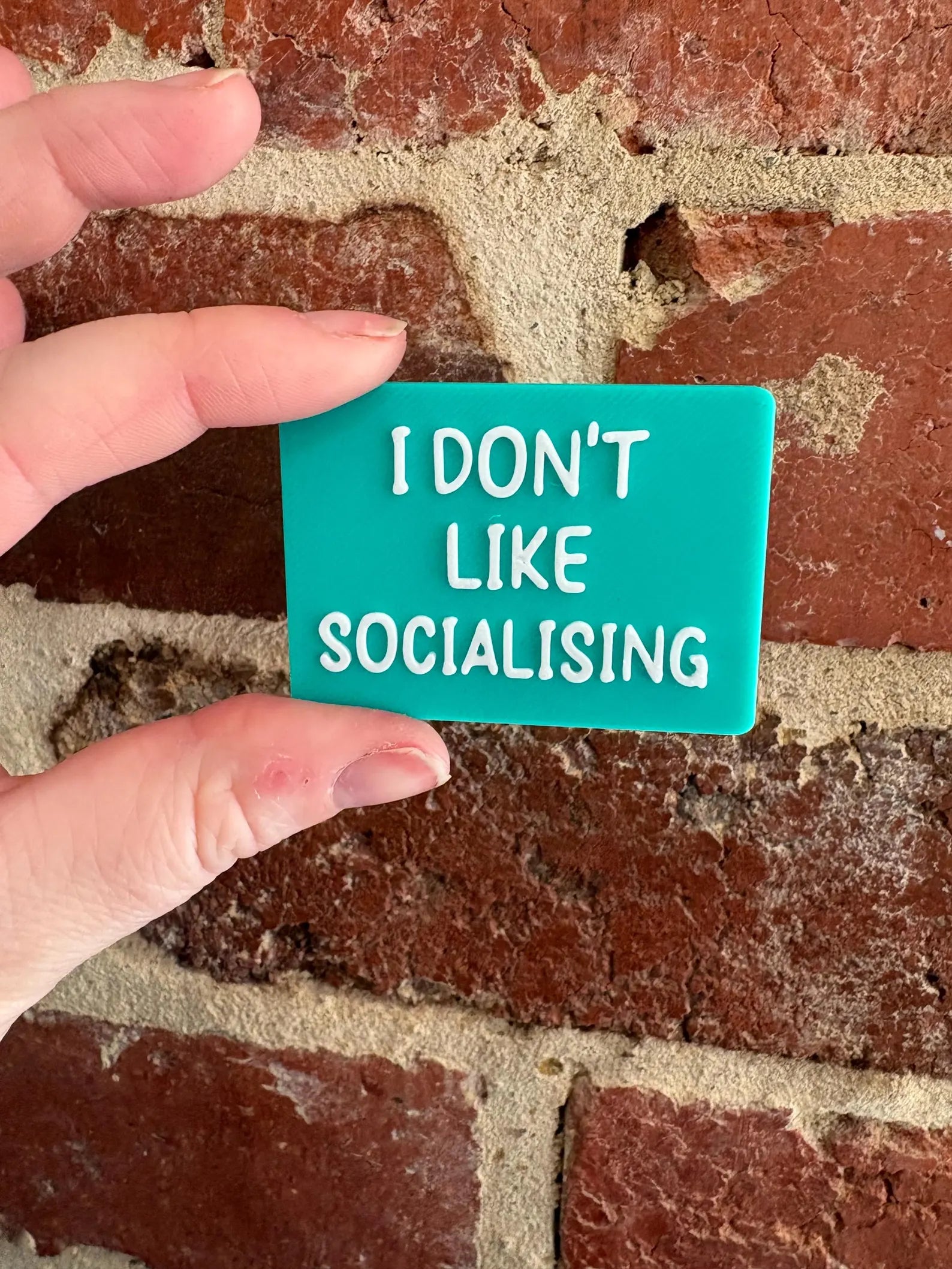 I Don't Like Socialising TALKIES Badge Magnet or Pin