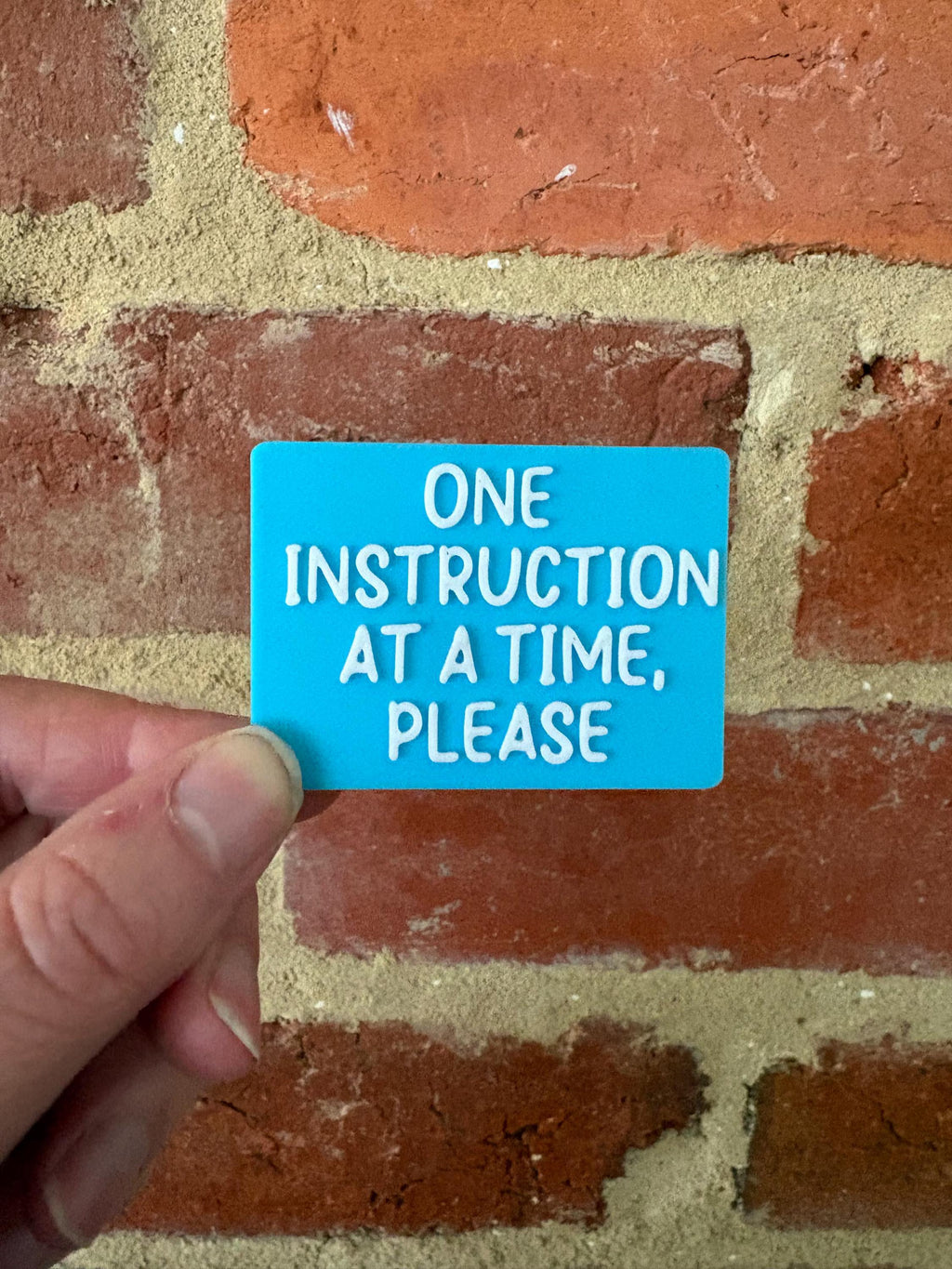 One Instruction At A Time Please TALKIES Badge Pin