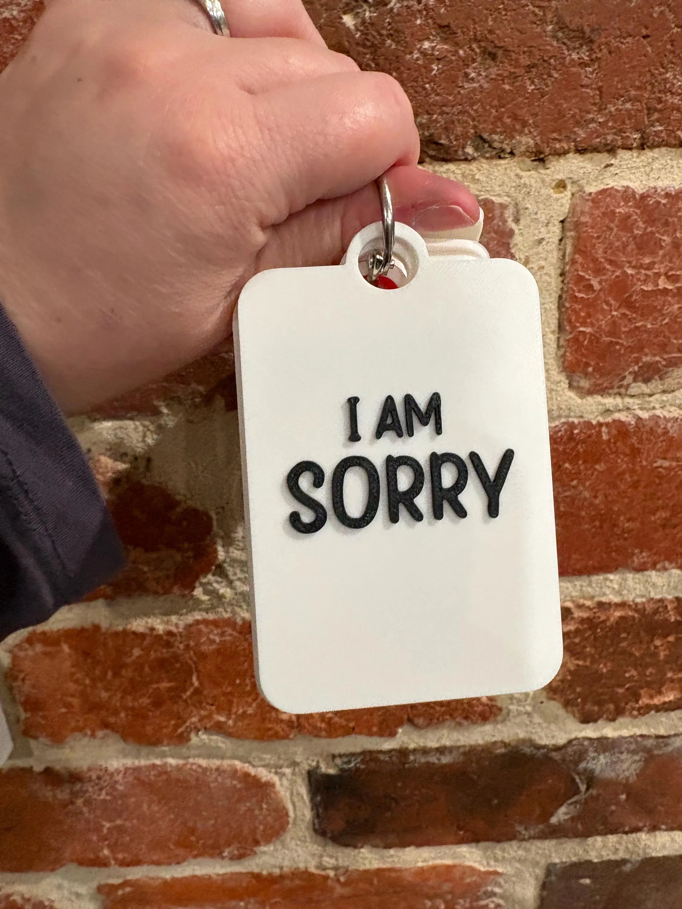 I Am Sorry Individual TALKIES Card