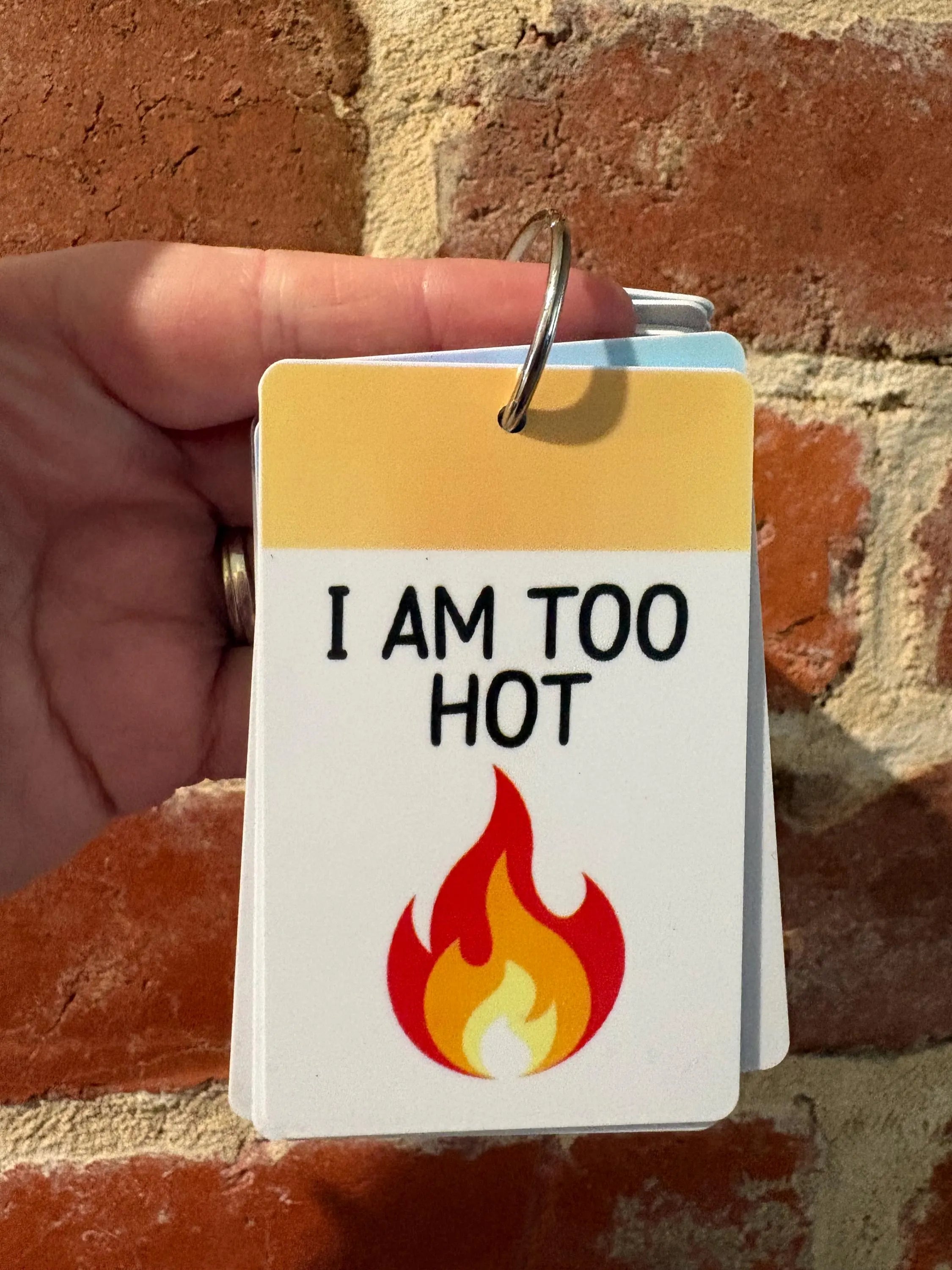 I Am Too Hot PVC Plastic Individual TALKIES Card