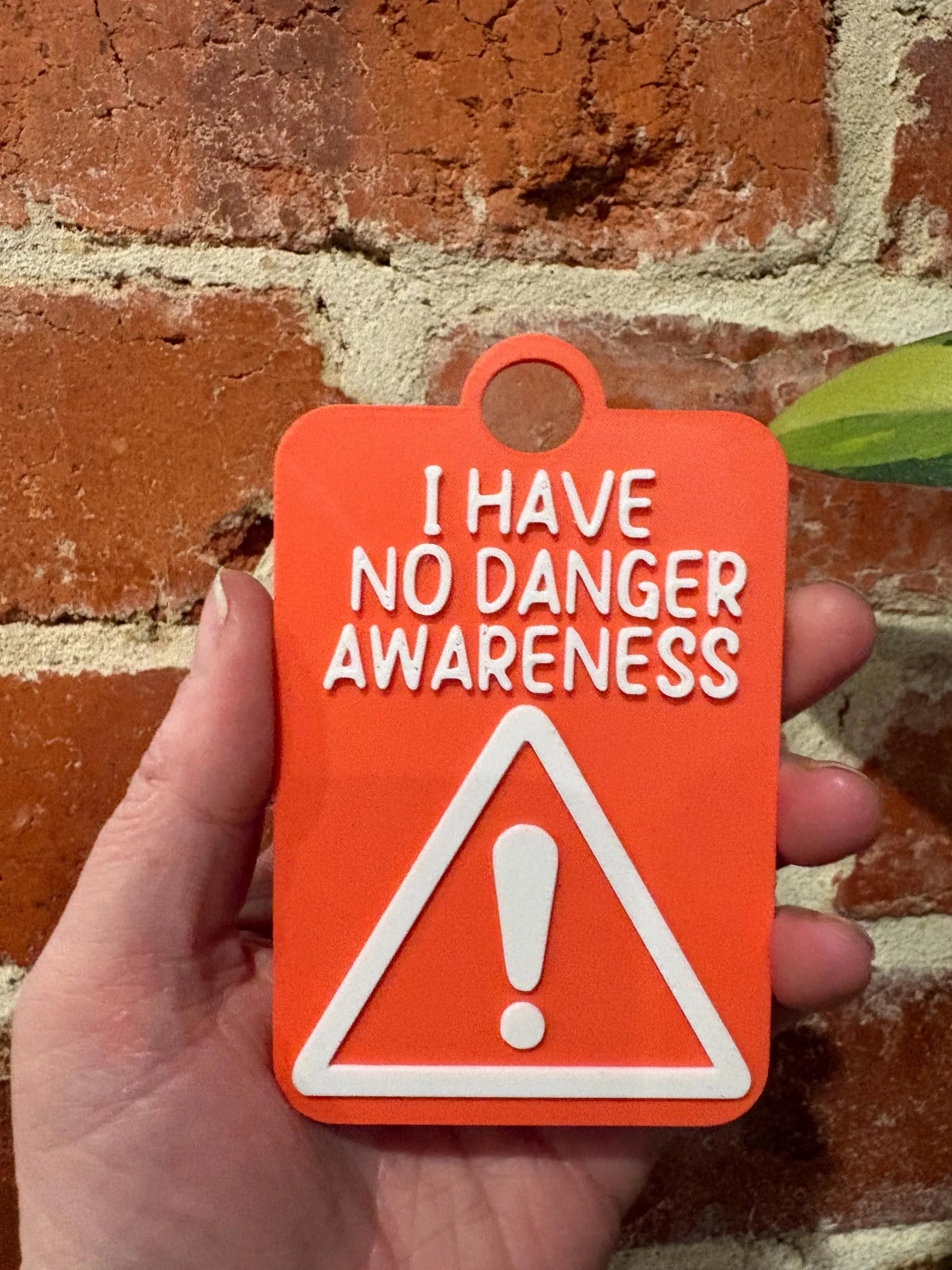 I Have No Danger Awareness Individual TALKIES Card