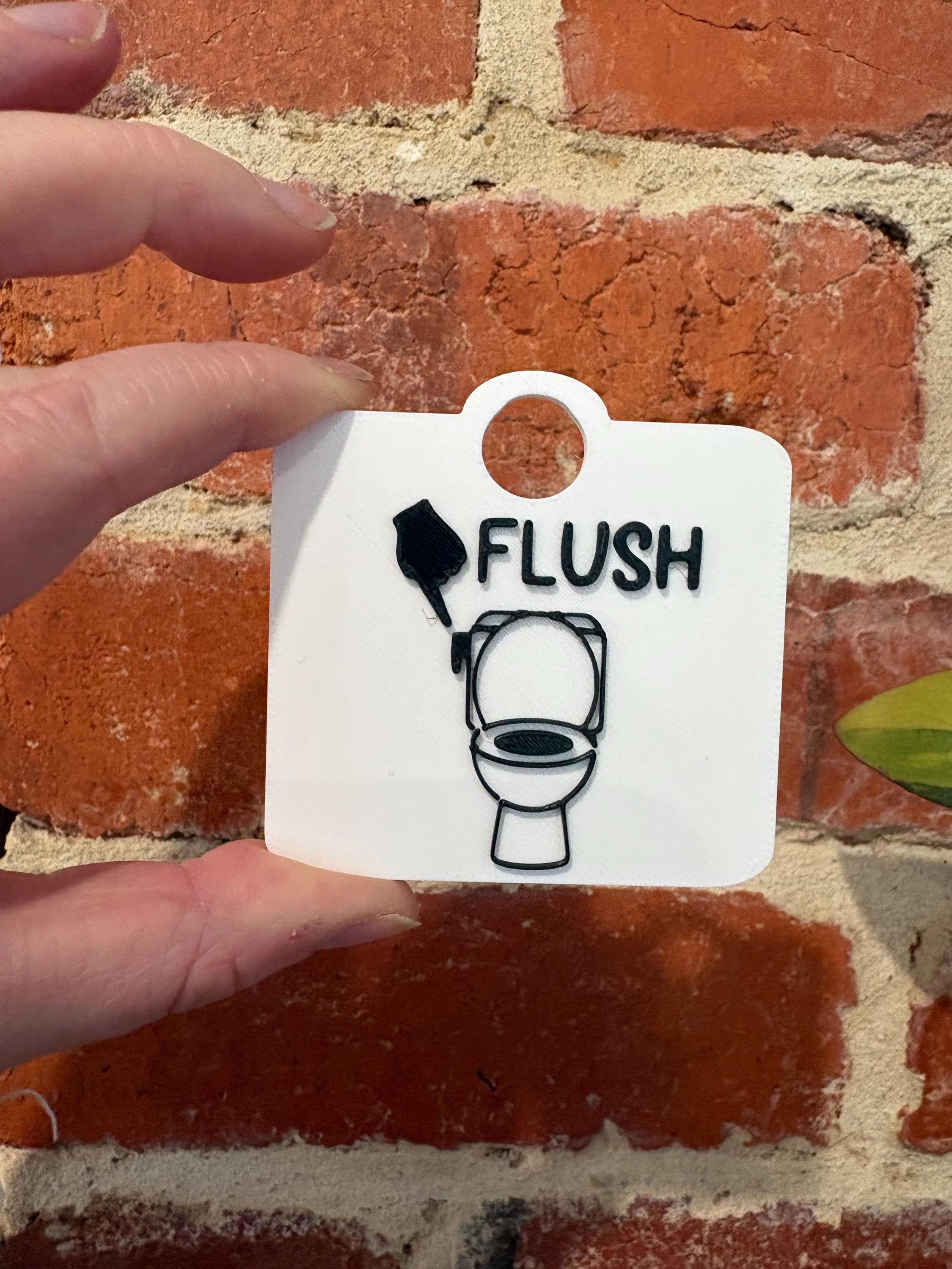 Flush Toilet Training and Awareness Individual TALKIES Card