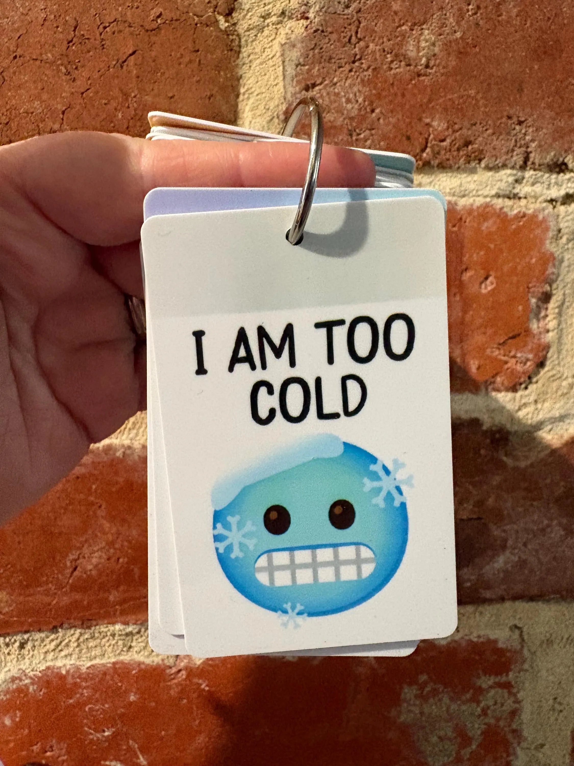 I Am Too Cold PVC Plastic Individual TALKIES Card